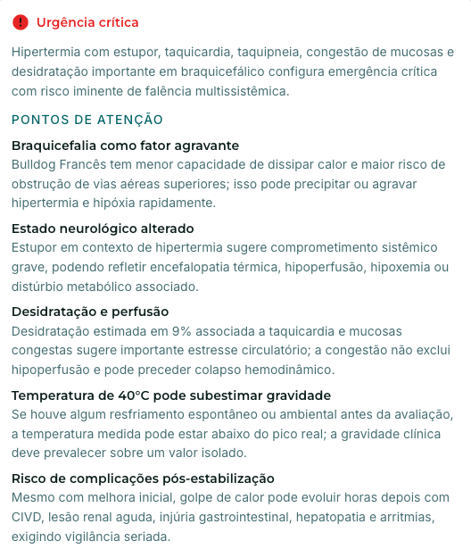 Detalhe ampliado: painel de urgência crítica com os pontos de atenção do caso
