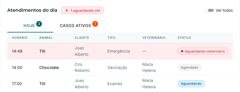 Detalhe ampliado: atendimentos do dia com o caso de emergência aguardando veterinário